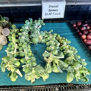 What brussels sprouts actually look like