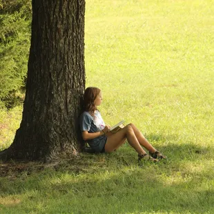 Hope deferred makes the heart sick,
but a longing fulfilled is a tree of life.
Proverbs 13:12