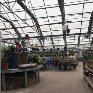 Greenhouse area