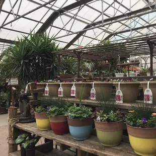 Greenhouse area