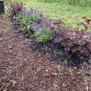 June 27, 2020 (1 month of growth).