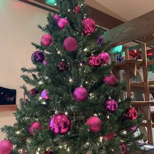 Christmas Tree Exhibit