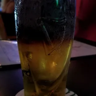 Black &amp;Tan time....