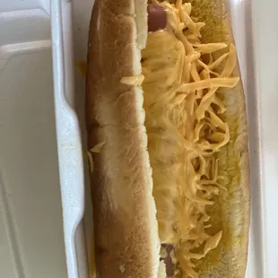 a hot dog in a styrofoam container