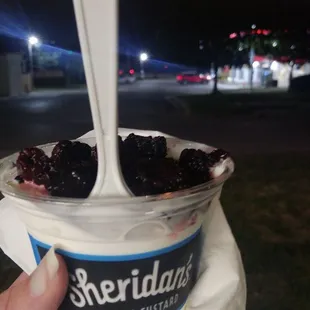 Vanilla custard with blackberries