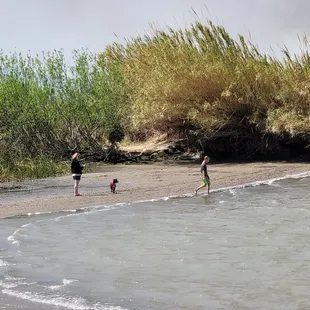 Wife, Son, and Dog on the beach