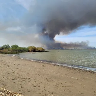 Sad what people will do to chase ducks out of the tall grass, so they can't shoot them. No I'm not some animal activist, I am anti fire tho