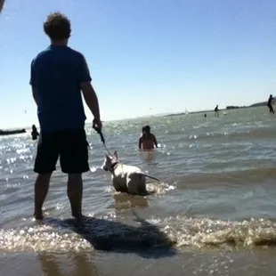 Everybody loves swim!