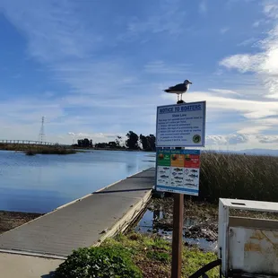 View from the boat launch