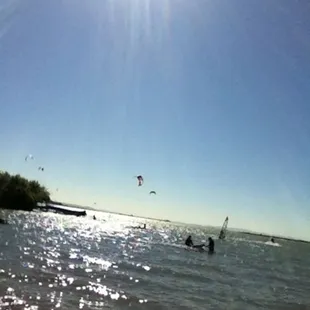 A great place for families  including the furry member =)