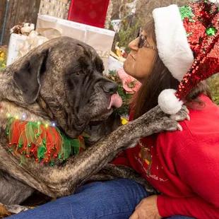 Pet Photography by Tucson Arizona Photographer Sherri Graves Photography
