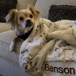 Benson Oliver says I only go to Sheri's !