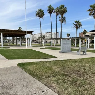 Wide shot of the park