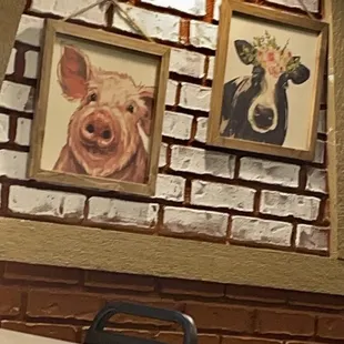 a cow and a pig