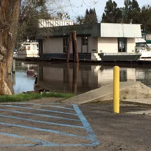 Houseboat level with shop &amp; RV park. Been docked there for YEARS &amp; it shows.