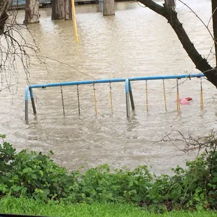 Don&apos;t the playground look inviting??