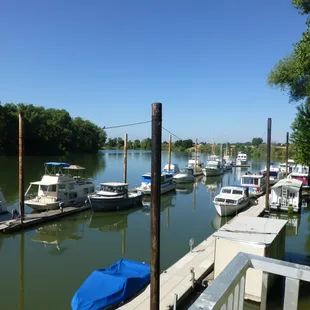The marina.