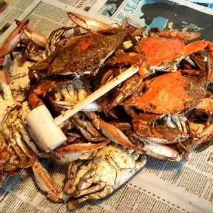 a pile of crabs