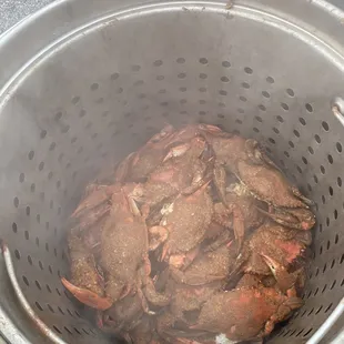 a bucket full of crabs