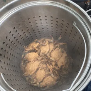 a person holding a colander