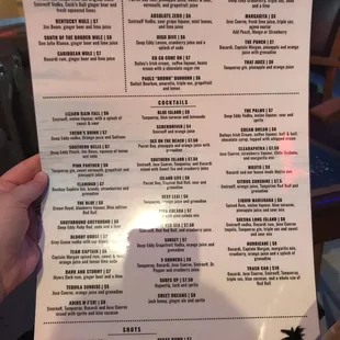 the menu for shesha bar and lounge