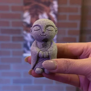 Little sushi campanion