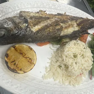 seafood, grilled seafood, grilled fish, fish, food