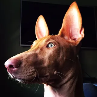 Nathan G.