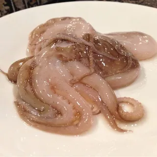 Little Octopus