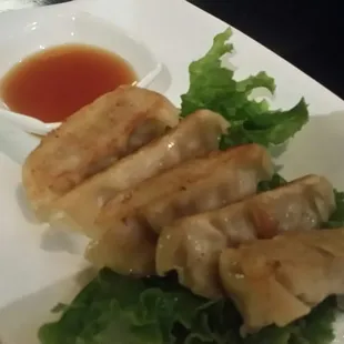 Gyoza