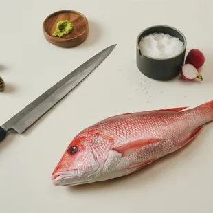 food, sushi and sashimi