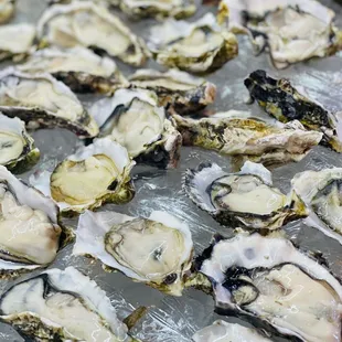 oysters on the half shell