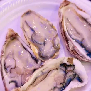 Raw Oysters