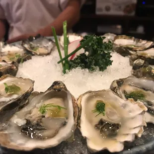 Oysters