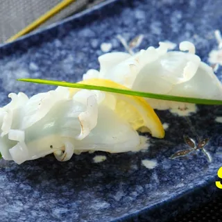 Squid Sushi