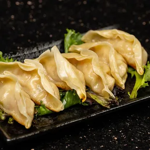 Gyoza