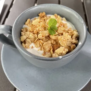 Yogurt Parfait Stater