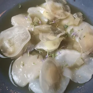 Scallop Crudo