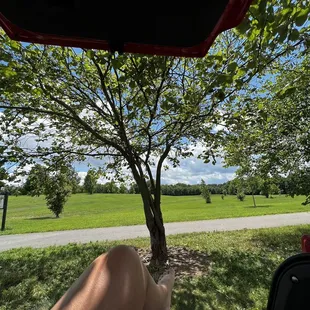 Favorite park in Lexington