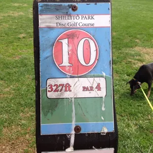 Most of the disc golf holes are clearly marked.  Some, not do much.