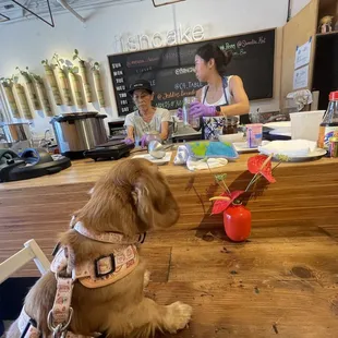 a dog sitting at a table
