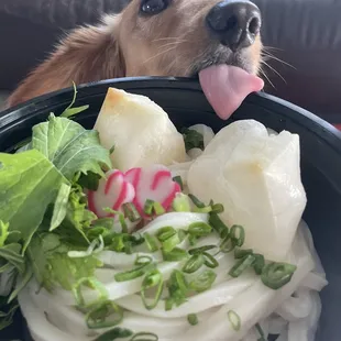 sushi and sashimi