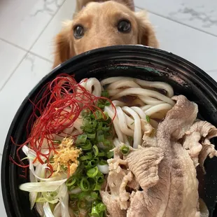 noodle dish, noodles, food, noodle soup, ramen and noodles, ramen