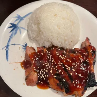 Kids teriyaki chicken and rice