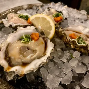 Oysters, so GOOD!