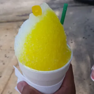 The Bahama Mama medium size