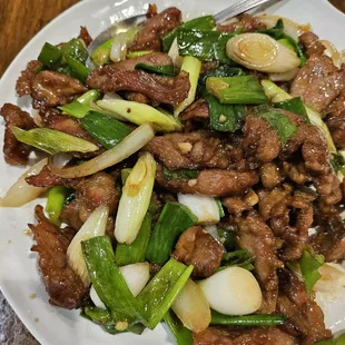 Mongolian Beef