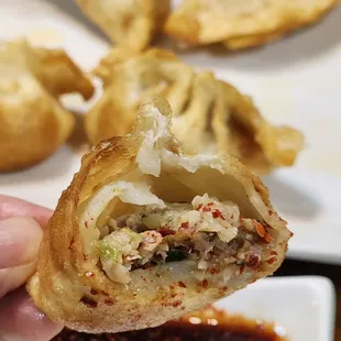 Pan Fried Dumplings
