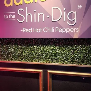 Quote from Red Hot Chili Peppers
