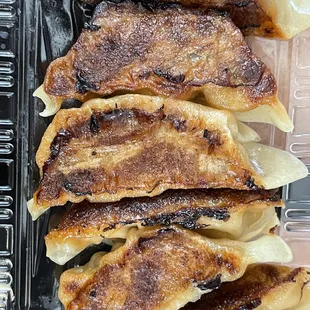 Gyoza